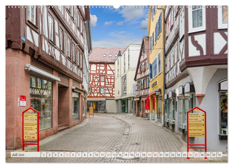 Mosbach Impressionen (CALVENDO Premium Wandkalender 2025)