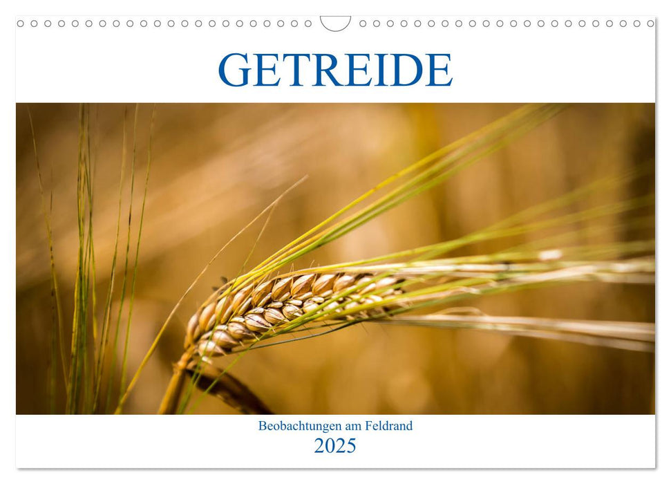 Getreide - Beobachtungen am Feldrand (CALVENDO Wandkalender 2025)