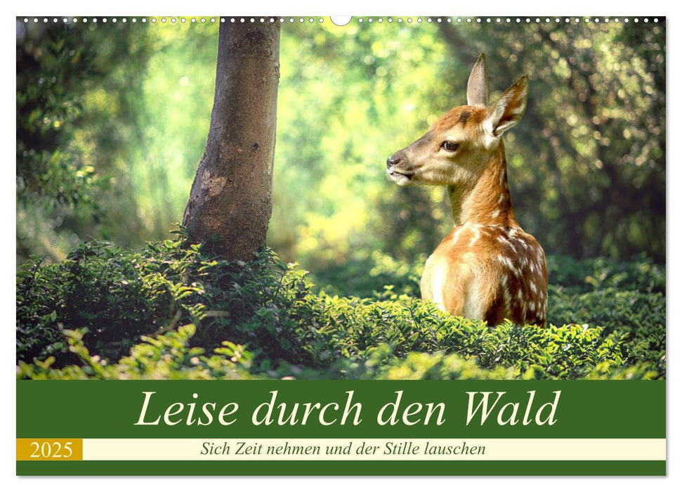 Leise durch den Wald. Sich Zeit nehmen und der Stille lauschen (CALVENDO Wandkalender 2025)