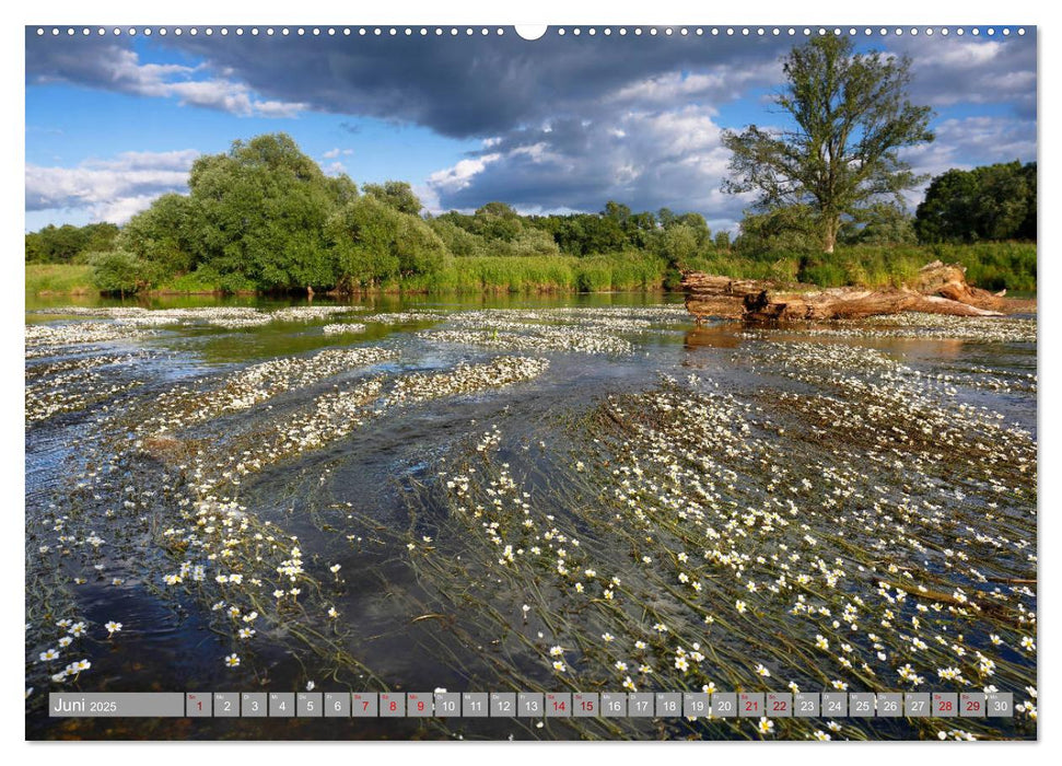 Zwickau und das Tal der Mulde (CALVENDO Premium Wandkalender 2025)