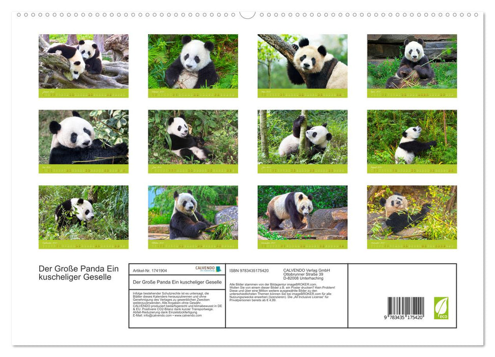 Der Große Panda Ein kuscheliger Geselle (CALVENDO Premium Wandkalender 2025)