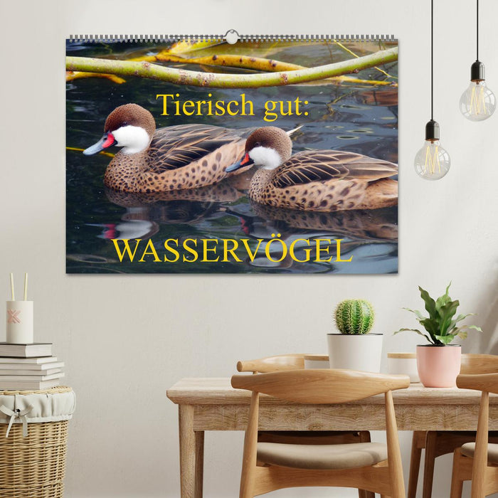 Tierisch gut: Wasservögel (CALVENDO Wandkalender 2025)