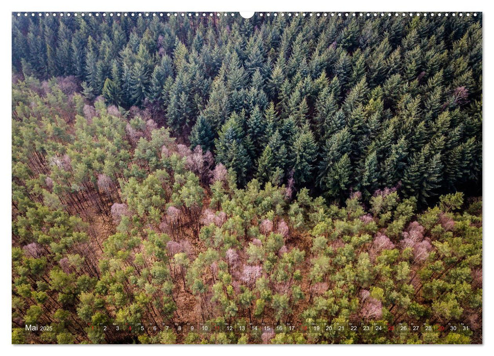 Wälder aus der Vogelperspektive (CALVENDO Premium Wandkalender 2025)