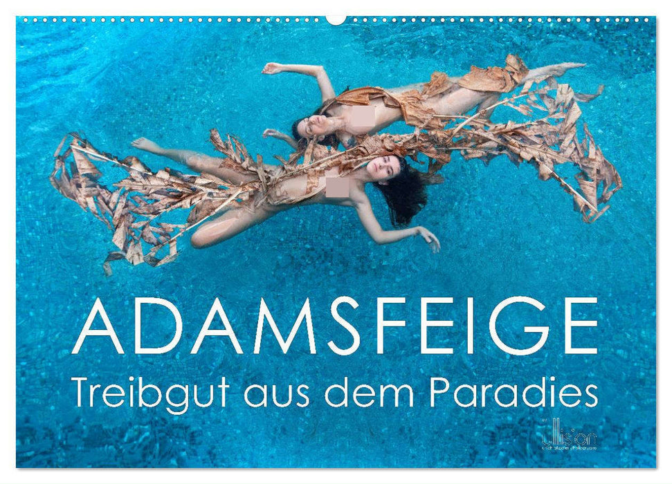 ADAMSFEIGE - Treibgut aus dem Paradies (CALVENDO Wandkalender 2025)