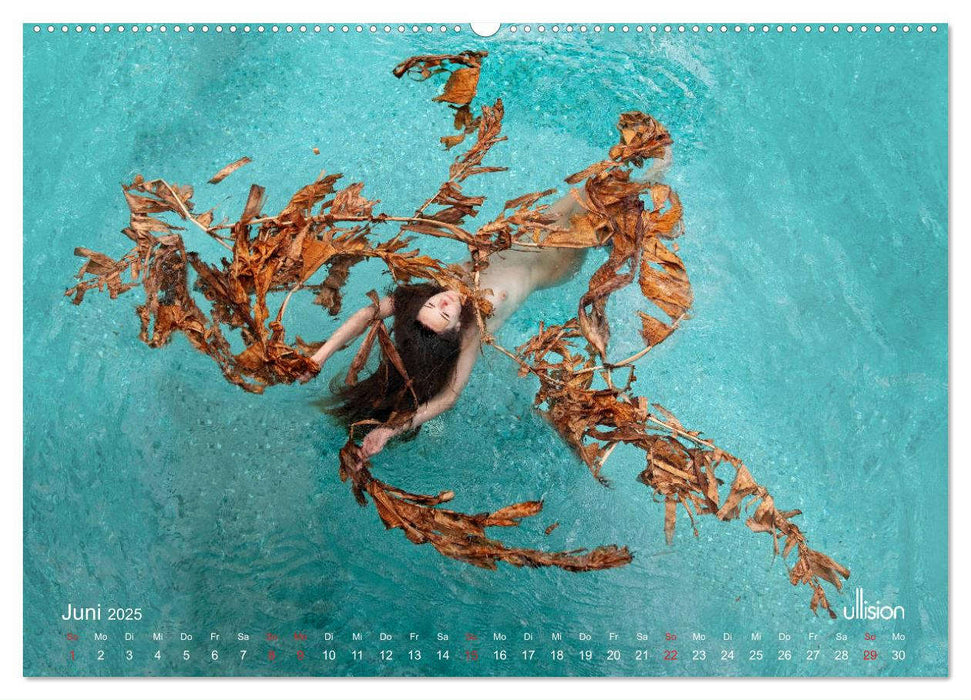 ADAMSFEIGE - Treibgut aus dem Paradies (CALVENDO Wandkalender 2025)