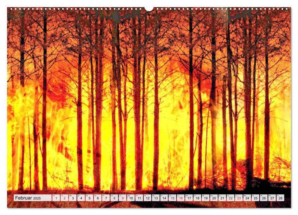 Klimawandel. Auswirkungen auf Tiere, Ökosysteme und den Menschen (CALVENDO Premium Wandkalender 2025)