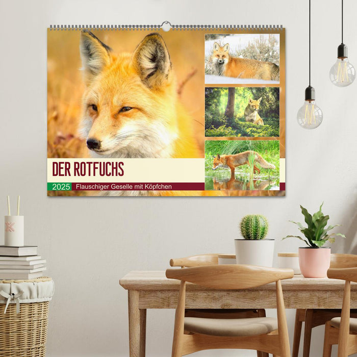 Der Rotfuchs. Flauschiger Geselle mit Köpfchen (CALVENDO Wandkalender 2025)