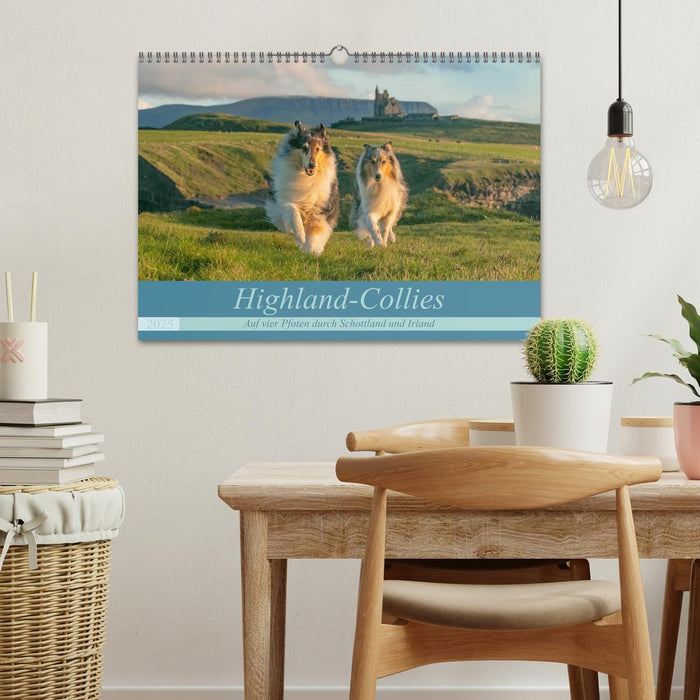 Highland-Collies - Auf vier Pfoten durch Schottland und Irland (CALVENDO Wandkalender 2025)