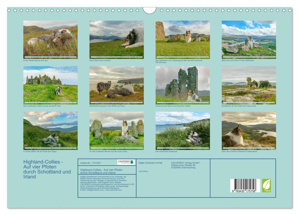 Highland-Collies - Auf vier Pfoten durch Schottland und Irland (CALVENDO Wandkalender 2025)