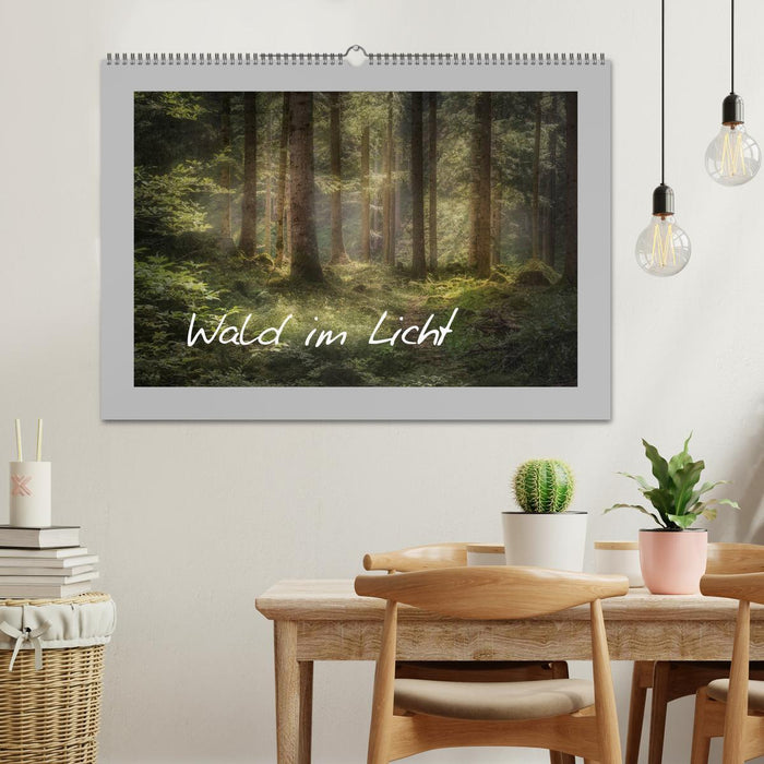 Wald im Licht (CALVENDO Wandkalender 2025)