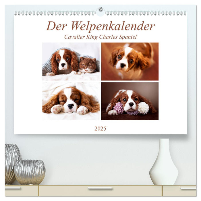 Der Welpenkalender - Cavalier King Charles Spaniel (CALVENDO Premium Wandkalender 2025)