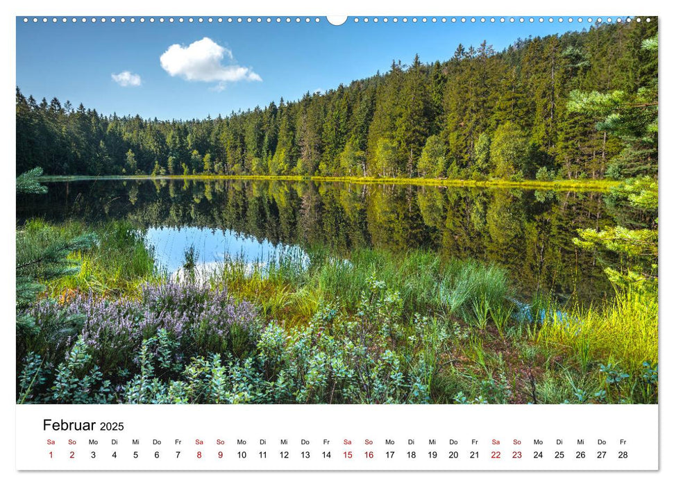 Schwarzwald, Seen und Hochmoore (CALVENDO Premium Wandkalender 2025)