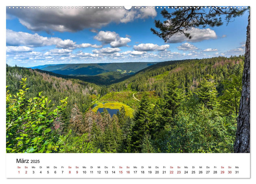 Schwarzwald, Seen und Hochmoore (CALVENDO Premium Wandkalender 2025)