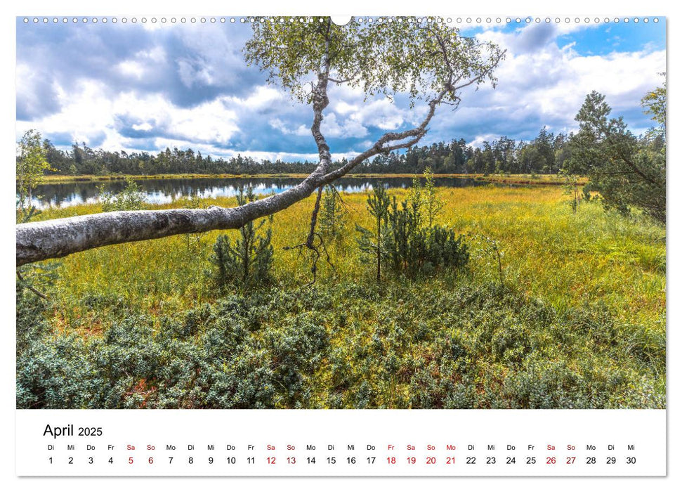 Schwarzwald, Seen und Hochmoore (CALVENDO Premium Wandkalender 2025)