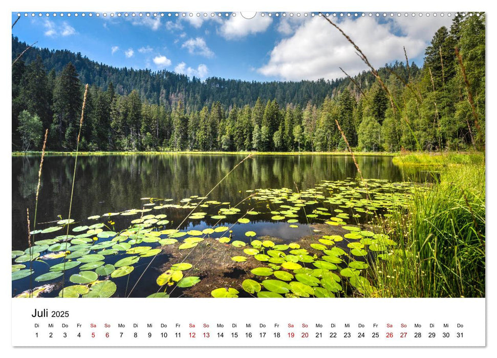 Schwarzwald, Seen und Hochmoore (CALVENDO Premium Wandkalender 2025)