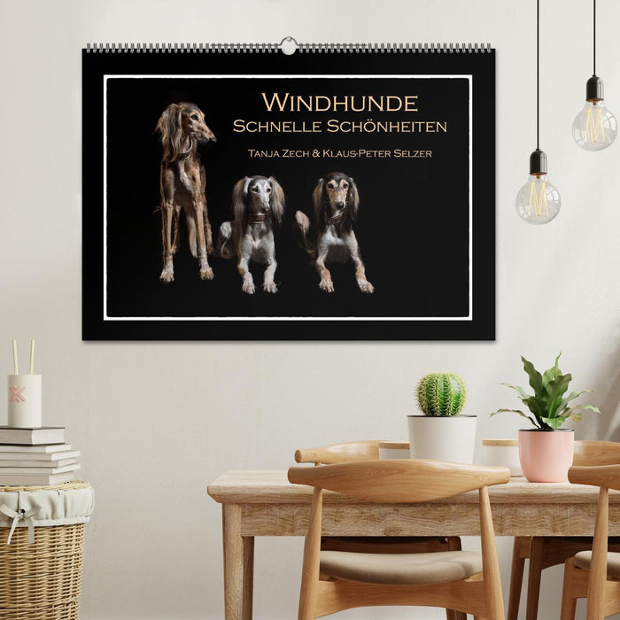 Windhunde - Schnelle Schönheiten (CALVENDO Wandkalender 2025)