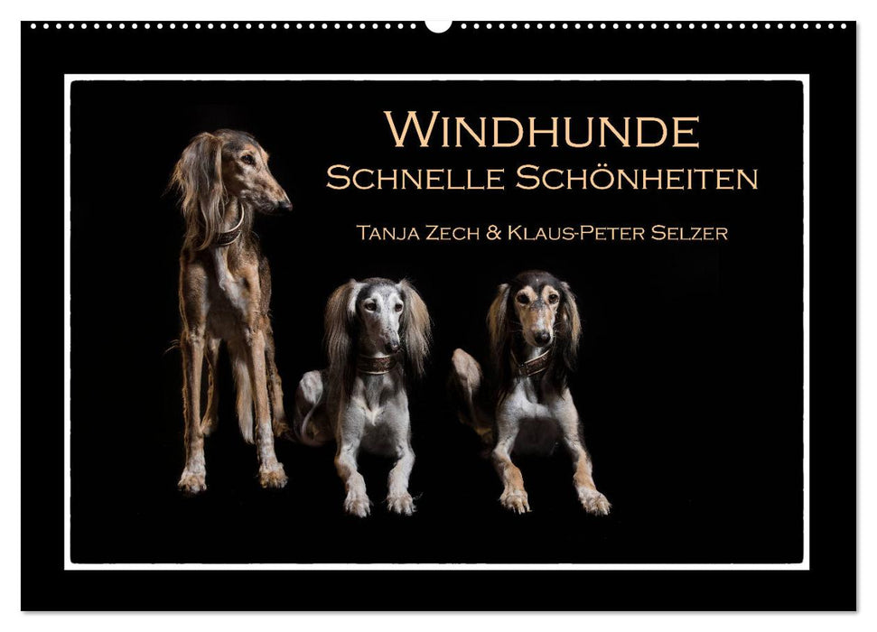 Windhunde - Schnelle Schönheiten (CALVENDO Wandkalender 2025)