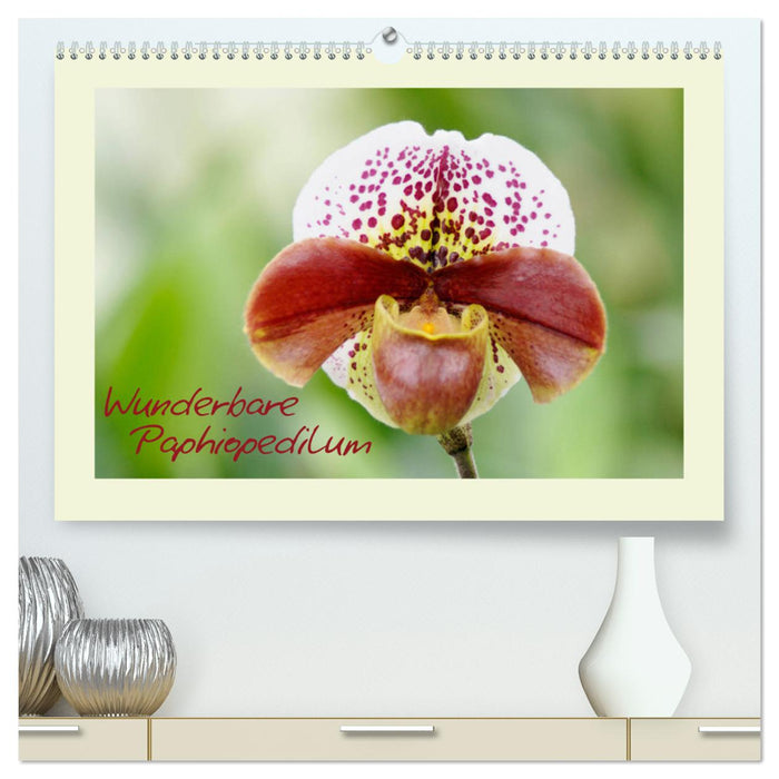 Wunderbare Paphiopedilum (CALVENDO Premium Wandkalender 2025)