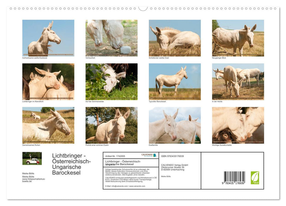 Lichtbringer - Österreichisch-Ungarische Barockesel (CALVENDO Premium Wandkalender 2025)