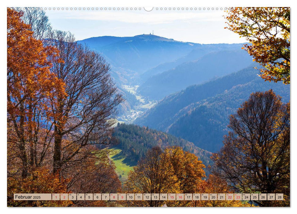 Freiburg Regio (CALVENDO Premium Wandkalender 2025)