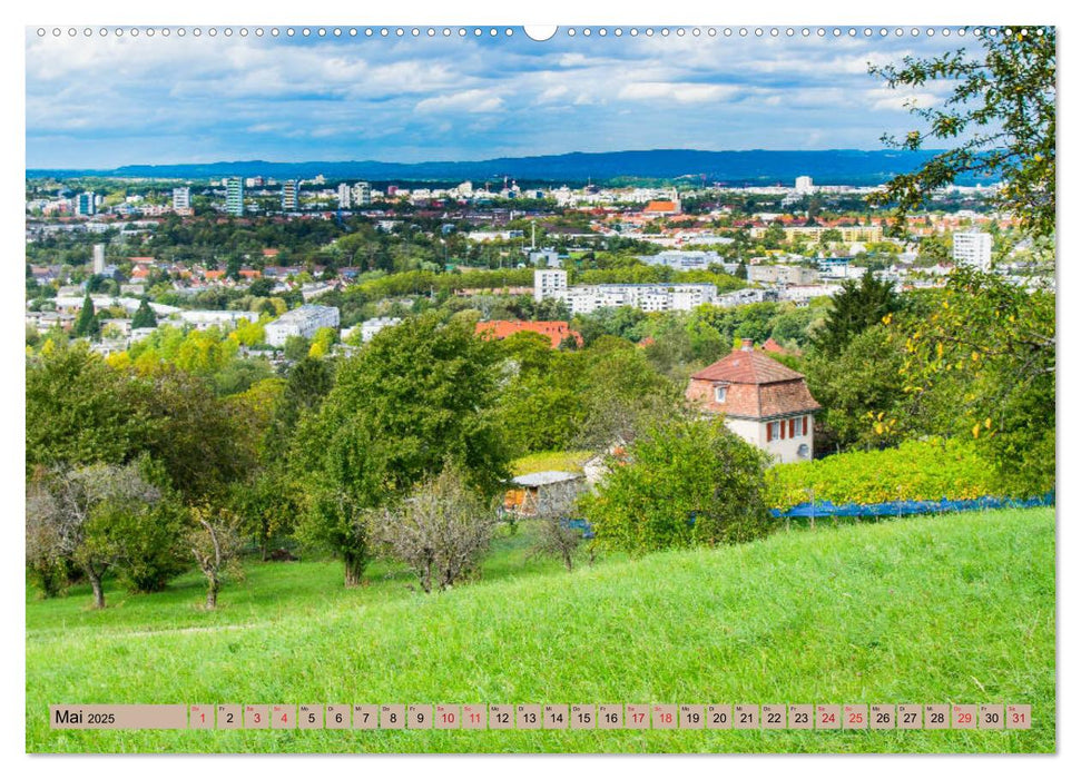 Freiburg Regio (CALVENDO Premium Wandkalender 2025)