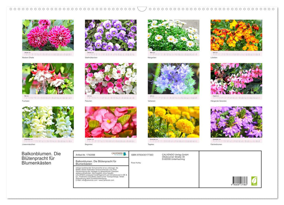 Balkonblumen. Die Blütenpracht für Blumenkästen (CALVENDO Wandkalender 2025)