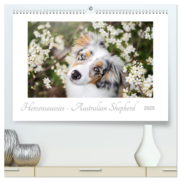 Herzensaussies - Australian Shepherd (CALVENDO Premium Wandkalender 2025)