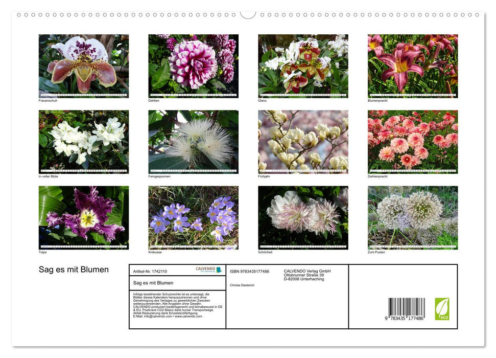 Sag es mit Blumen (CALVENDO Premium Wandkalender 2025)