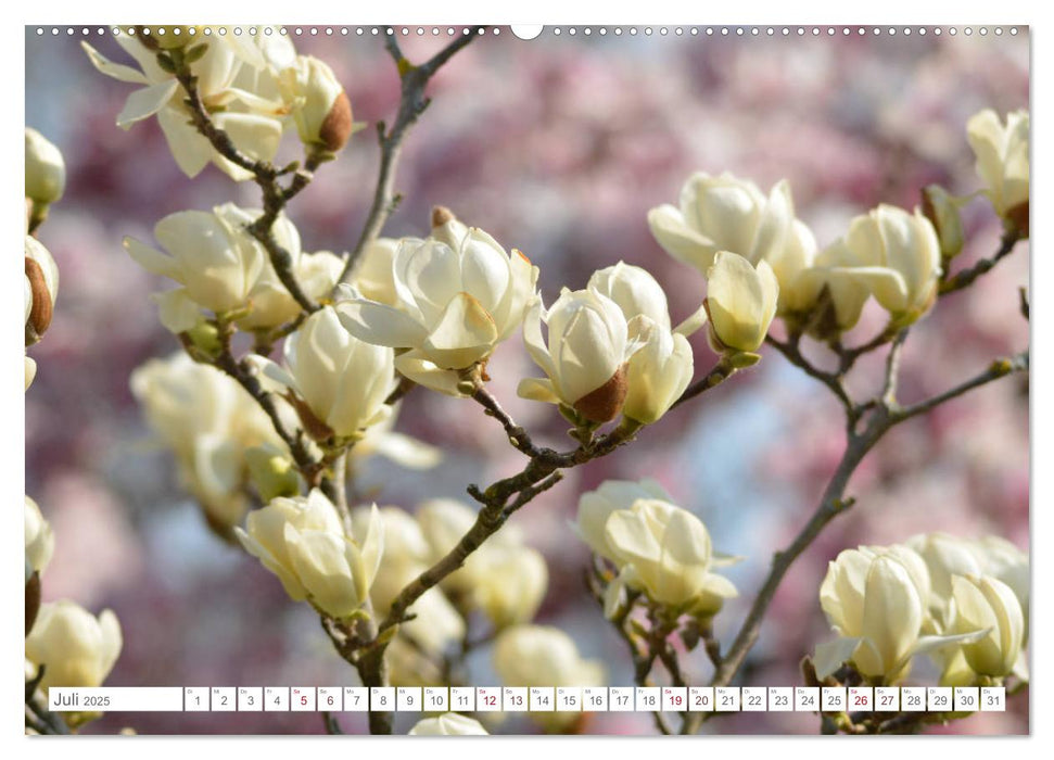 Sag es mit Blumen (CALVENDO Premium Wandkalender 2025)