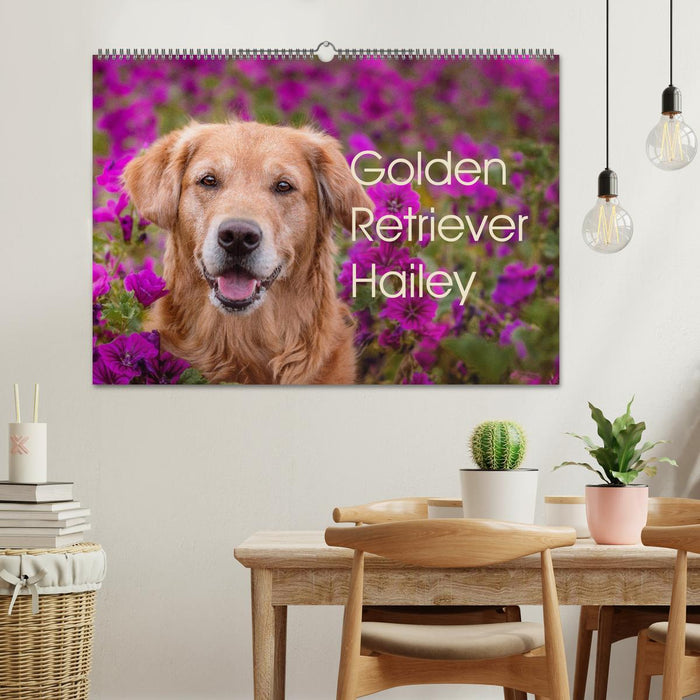 Golden Retriever Hailey Fotokalender (CALVENDO Wandkalender 2025)