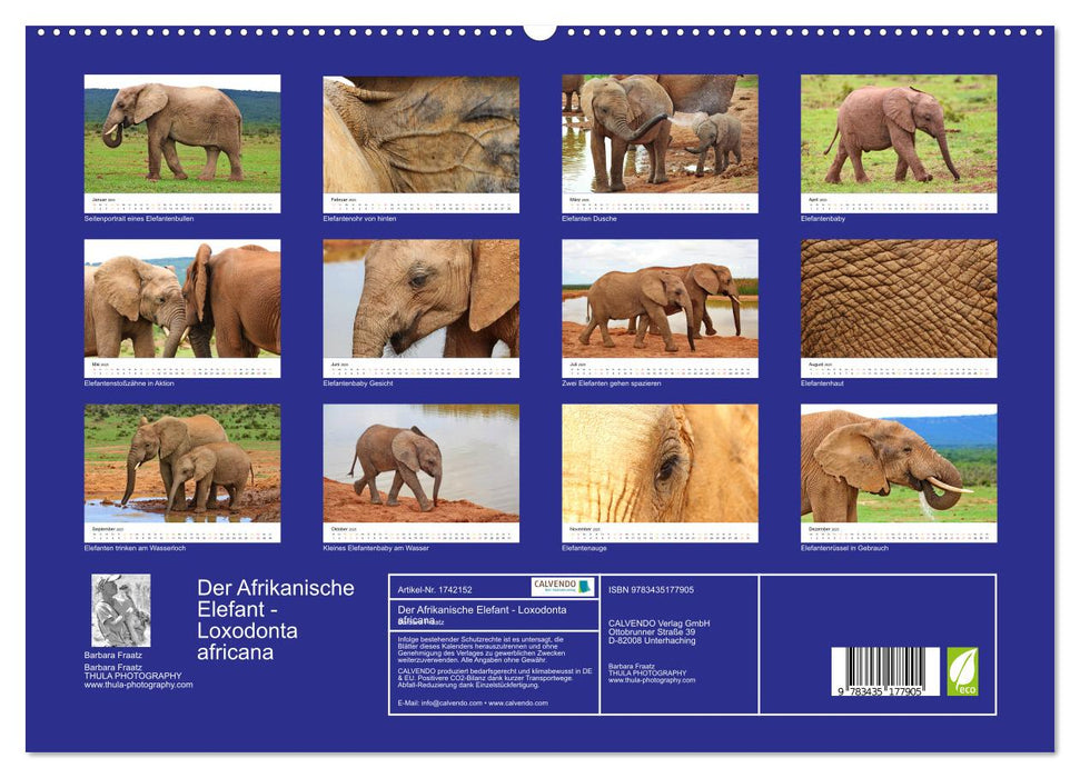 Der Afrikanische Elefant - Loxodonta africana (CALVENDO Premium Wandkalender 2025)