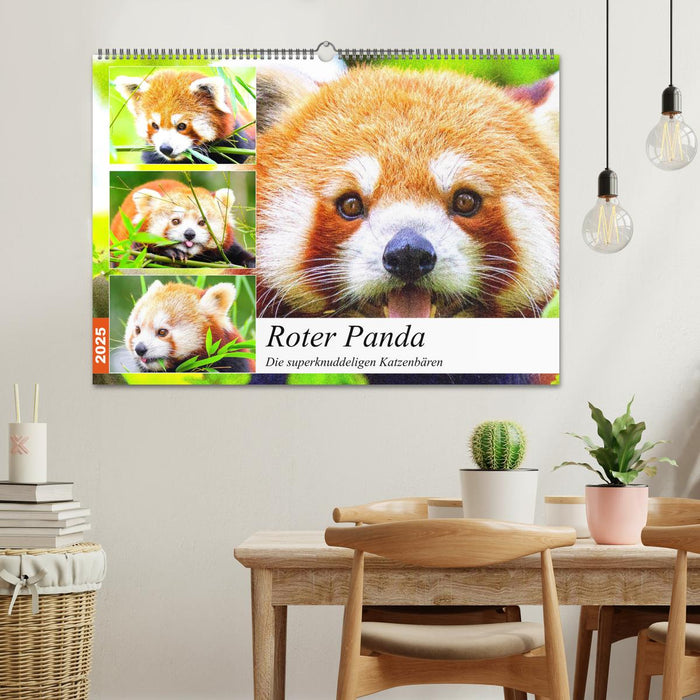 Roter Panda. Die superknuddeligen Katzenbären (CALVENDO Wandkalender 2025)