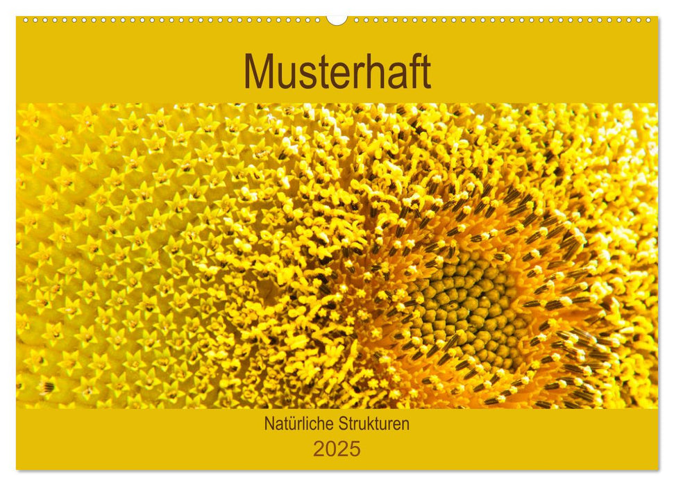 Musterhaft - Natürliche Strukturen (CALVENDO Wandkalender 2025)