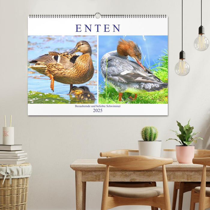 Enten. Bezaubernde und beliebte Schwimmer (CALVENDO Wandkalender 2025)