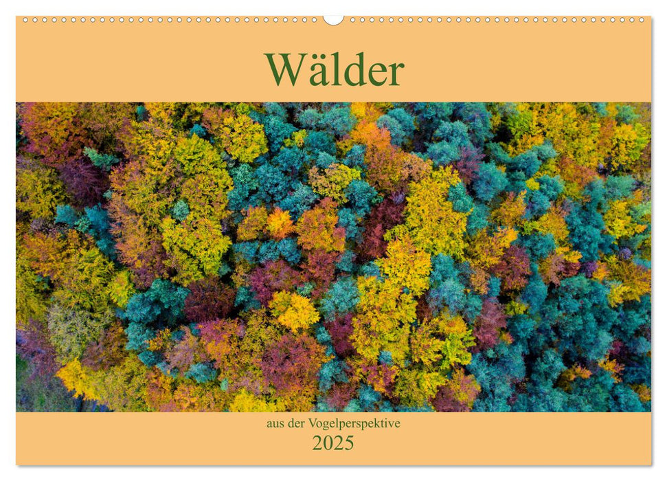 Wälder aus der Vogelperspektive (CALVENDO Wandkalender 2025)