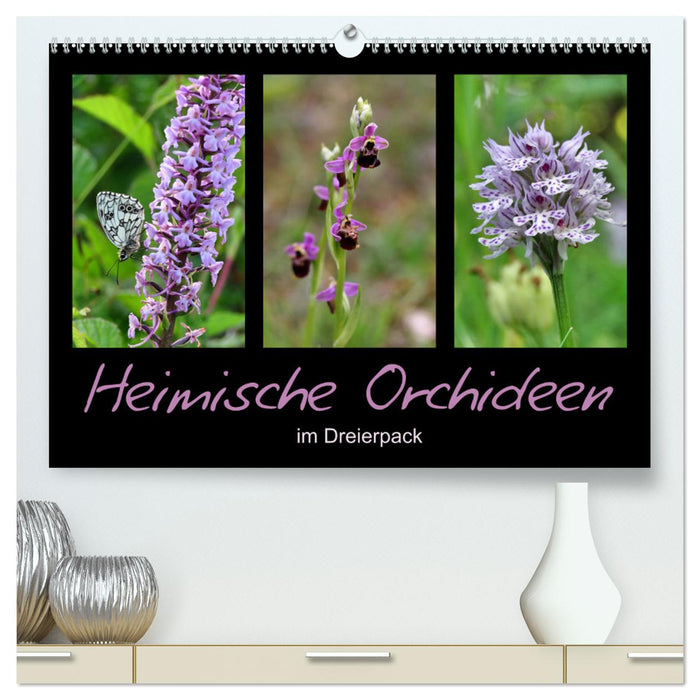 Heimische Orchideen im Dreierpack (CALVENDO Premium Wandkalender 2025)