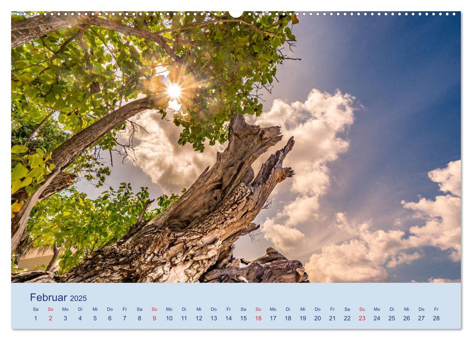 Malediven - Dreamland (CALVENDO Premium Wandkalender 2025)