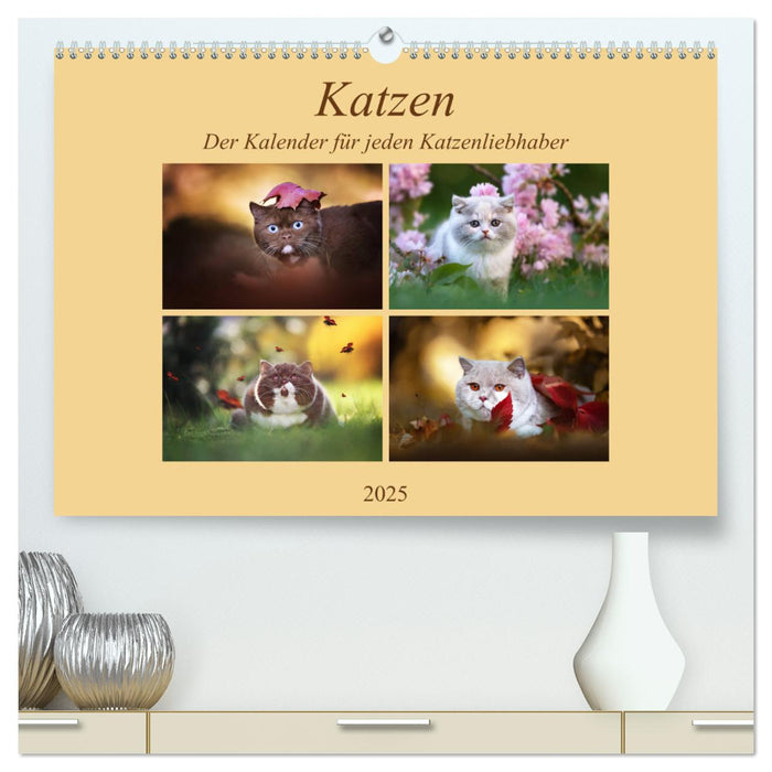 Katzen - Der Kalender für jeden Katzenliebhaber (CALVENDO Premium Wandkalender 2025)