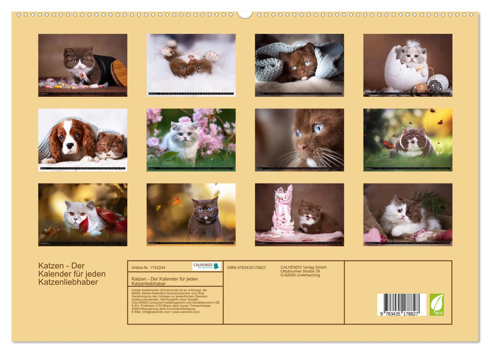 Katzen - Der Kalender für jeden Katzenliebhaber (CALVENDO Premium Wandkalender 2025)