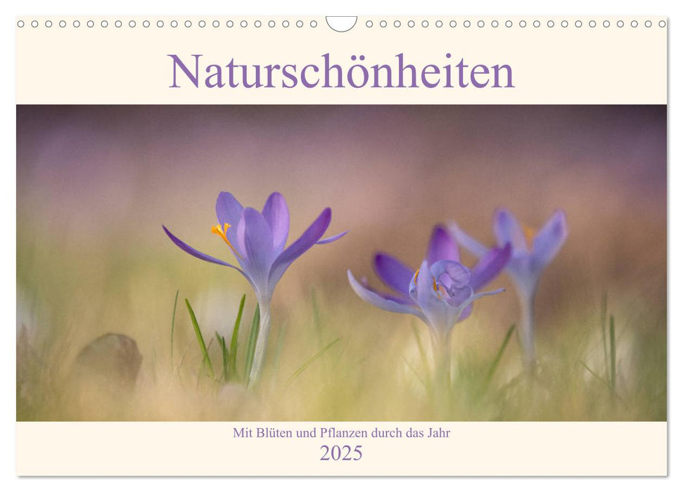 Naturschönheiten - mit Blüten und Pflanzen durch das Jahr (CALVENDO Wandkalender 2025)