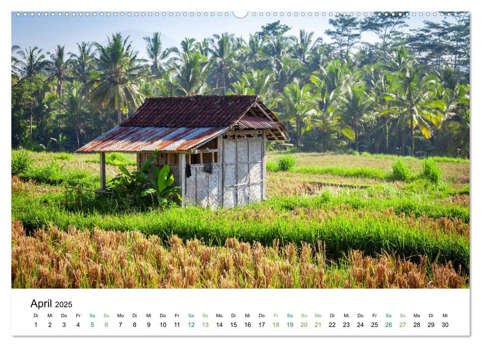 Innehalten auf Bali (CALVENDO Premium Wandkalender 2025)