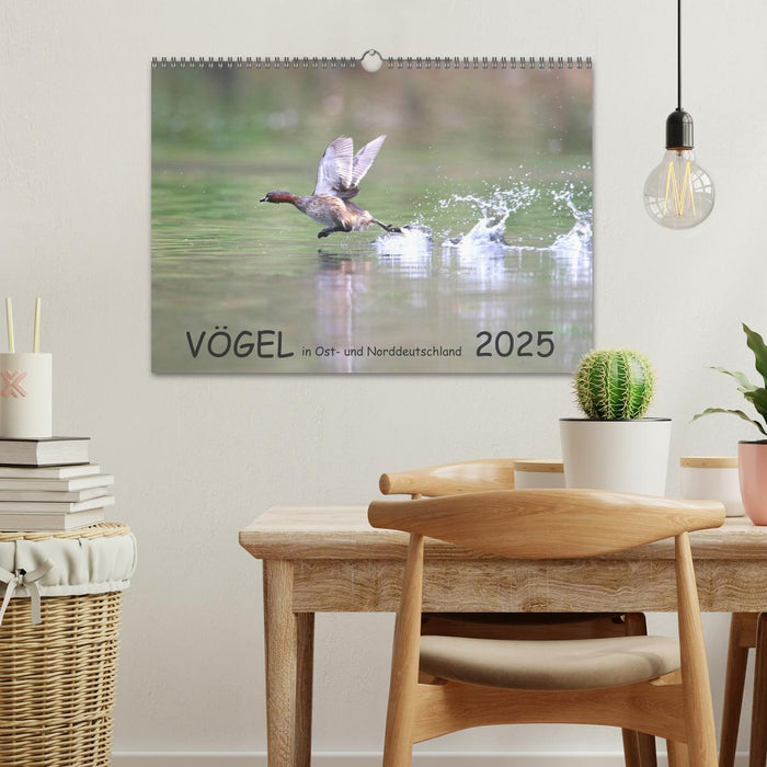 Vögel in Ost- und Norddeutschland 2025 (CALVENDO Wandkalender 2025)