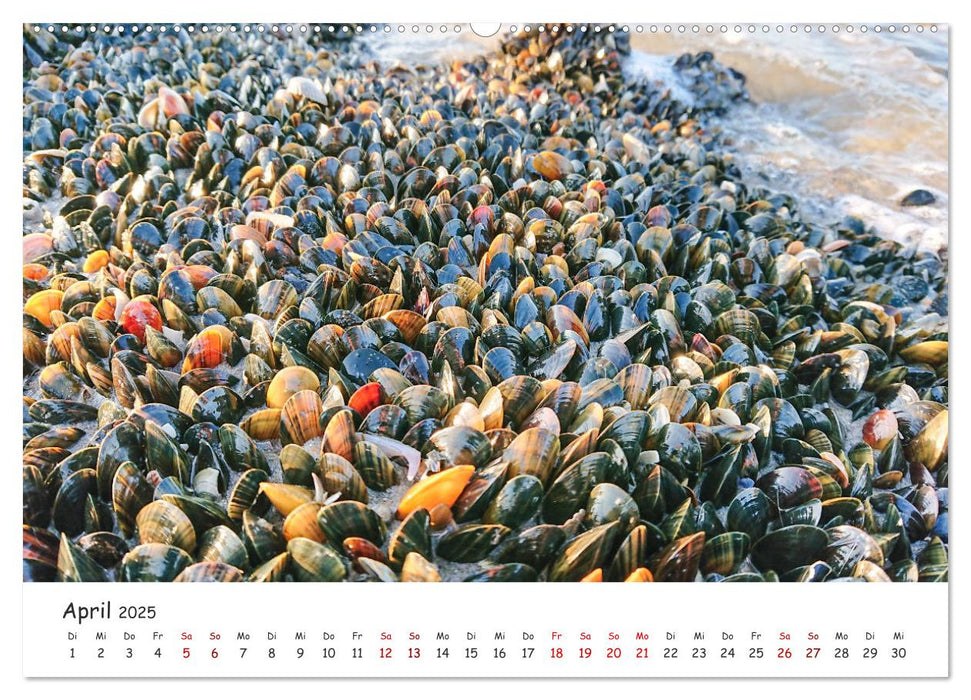 Dünen und Meer Nordseemomente (CALVENDO Wandkalender 2025)