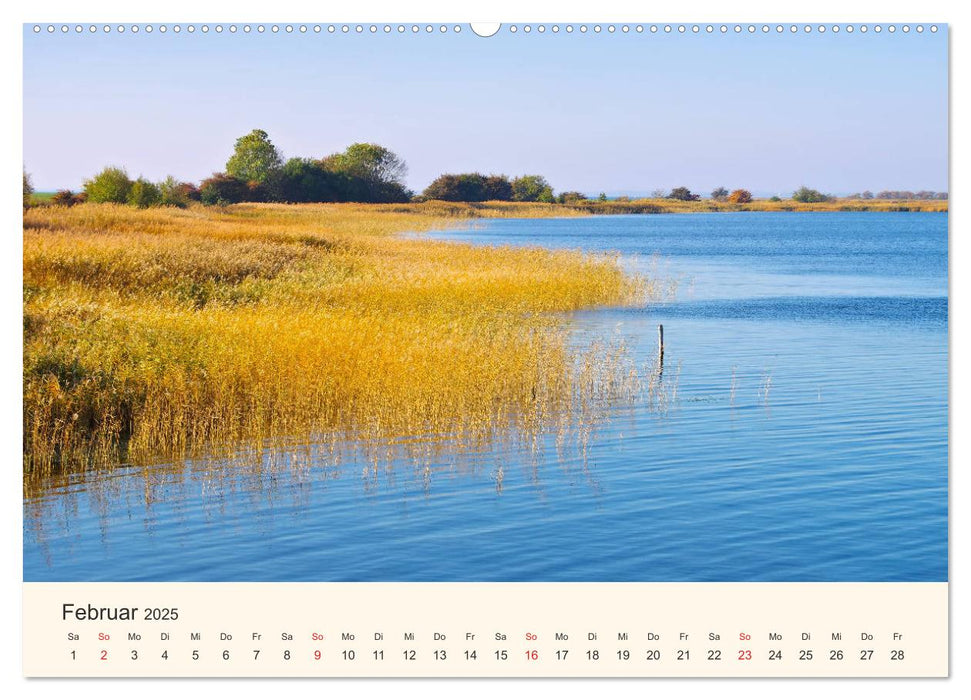 Ummanz - Naturparadies in der Rügener Boddenlandschaft (CALVENDO Premium Wandkalender 2025)