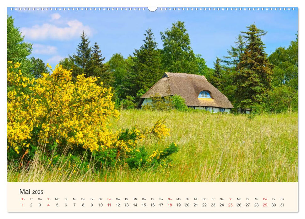 Ummanz - Naturparadies in der Rügener Boddenlandschaft (CALVENDO Premium Wandkalender 2025)