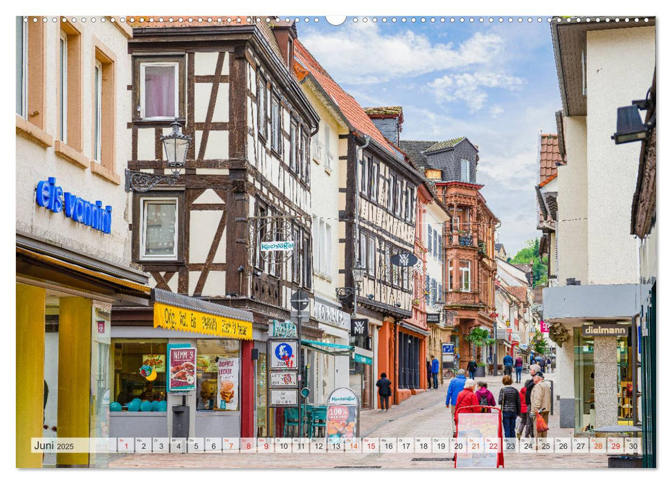 Neustadt an der Weinstraße Impressionen (CALVENDO Wandkalender 2025)