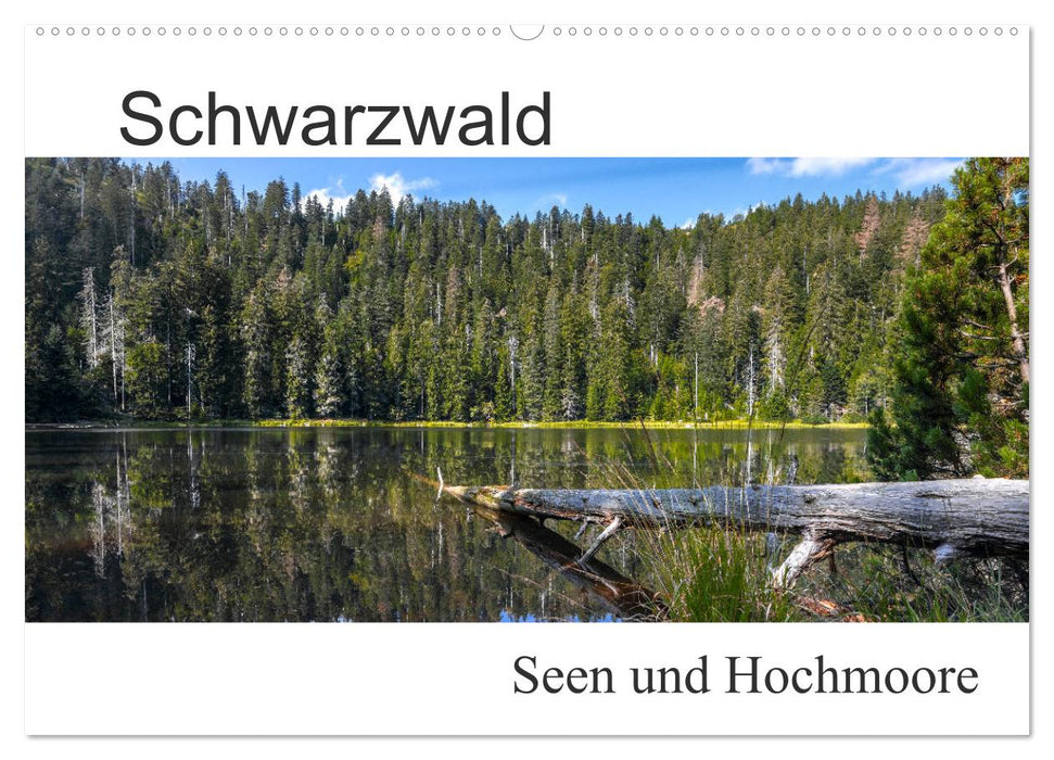 Schwarzwald, Seen und Hochmoore (CALVENDO Wandkalender 2025)