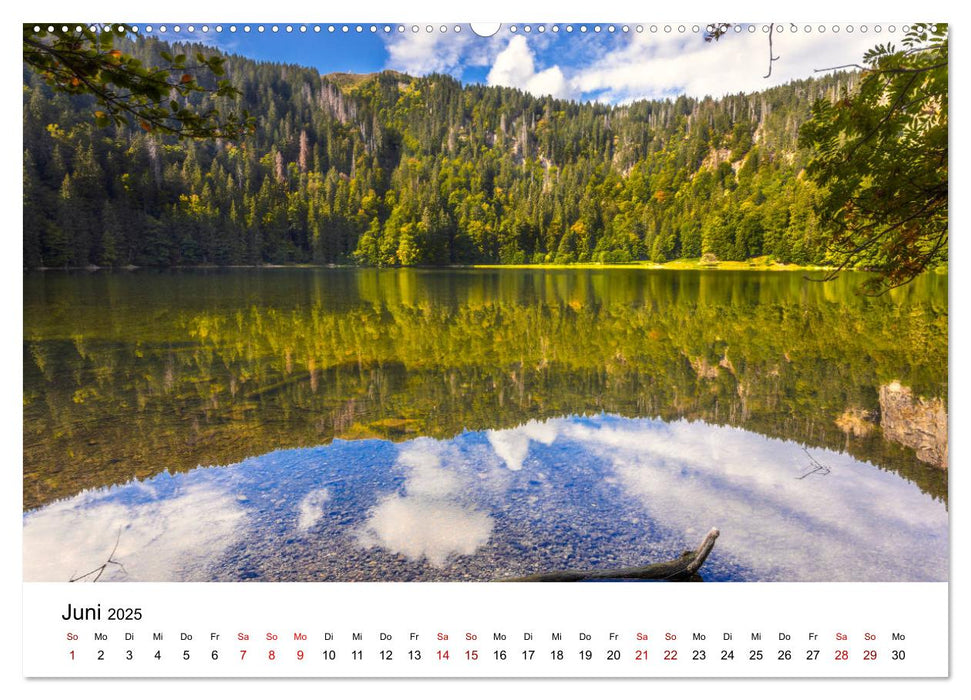 Schwarzwald, Seen und Hochmoore (CALVENDO Wandkalender 2025)