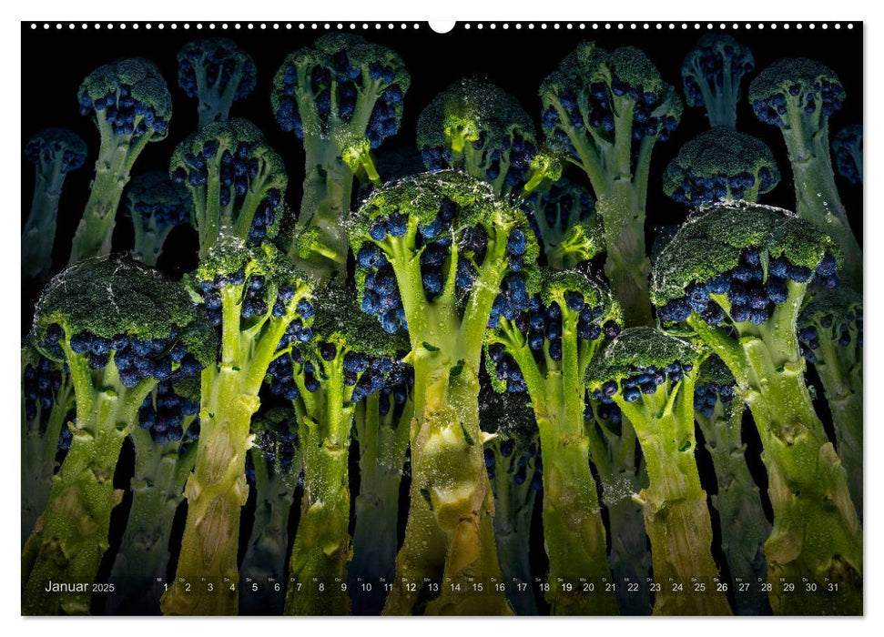 Flora mysteria - Die wundersame Welt des Fotografen Olaf Bruhn (CALVENDO Premium Wandkalender 2025)