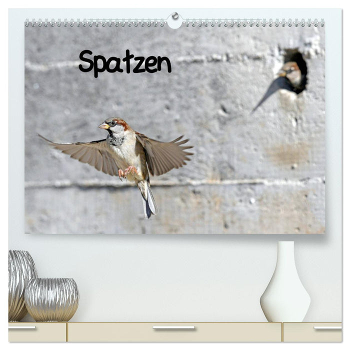 Spatzen (CALVENDO Premium Wandkalender 2025)